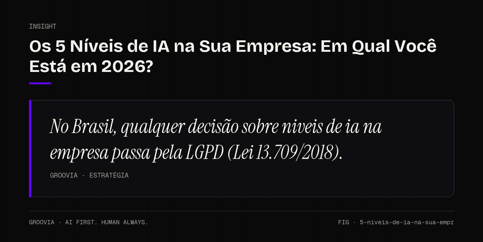 Insight sobre niveis de ia na empresa: No Brasil, qualquer decisão sobre niveis de ia na empresa passa pela LGPD (Lei 13.709/2018).